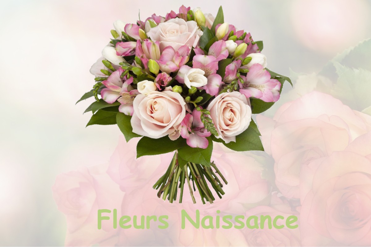 fleurs naissance ARTIGUE